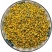 中药材纯野菊花粉野菊花茶粉菊花茶散装包邮