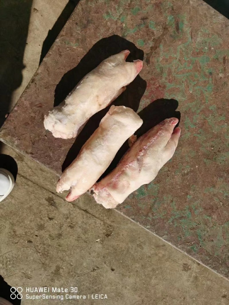 猪蹄手续齐全现低价出售