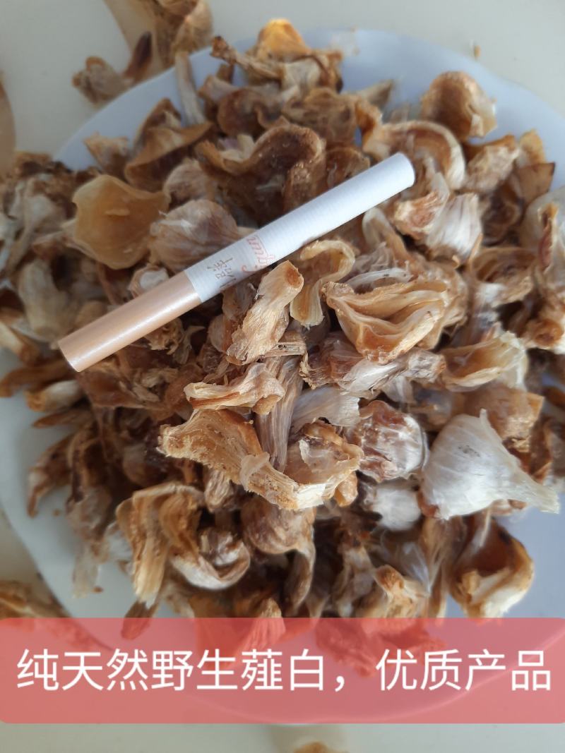 丰宁满族自治县纯野生薤白，无硫无杂，品质好，