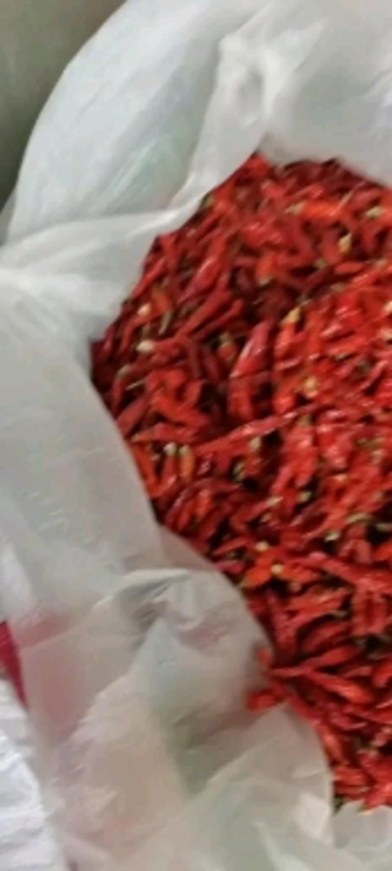 印度S17干辣椒，贵州精品小米辣椒干，超辣香，大量批发