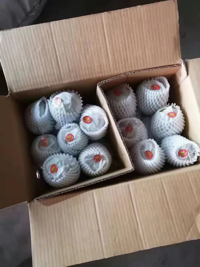 库尔勒香，红香酥梨，新梨七号质量好，价格超级便宜！