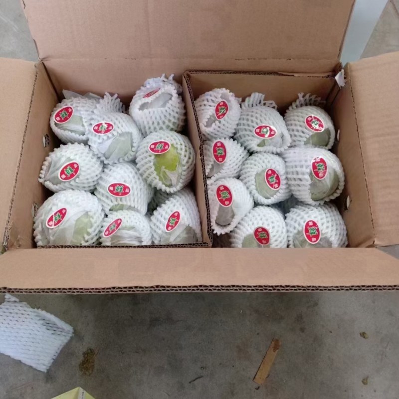 库尔勒香，红香酥梨，新梨七号质量好，价格超级便宜！