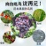 江苏工厂直发防鸟网葡萄园蓝莓园樱桃园鱼塘等防鸟用网具
