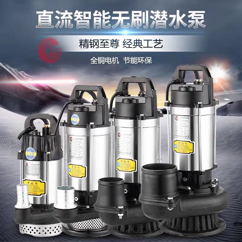 直流电动48v60V潜水泵深井潜水泵浇菜园园林树木潜水泵