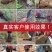 大功率汽油油镐起树铲树挖树开山破碎机小型挖树机起树苗机土