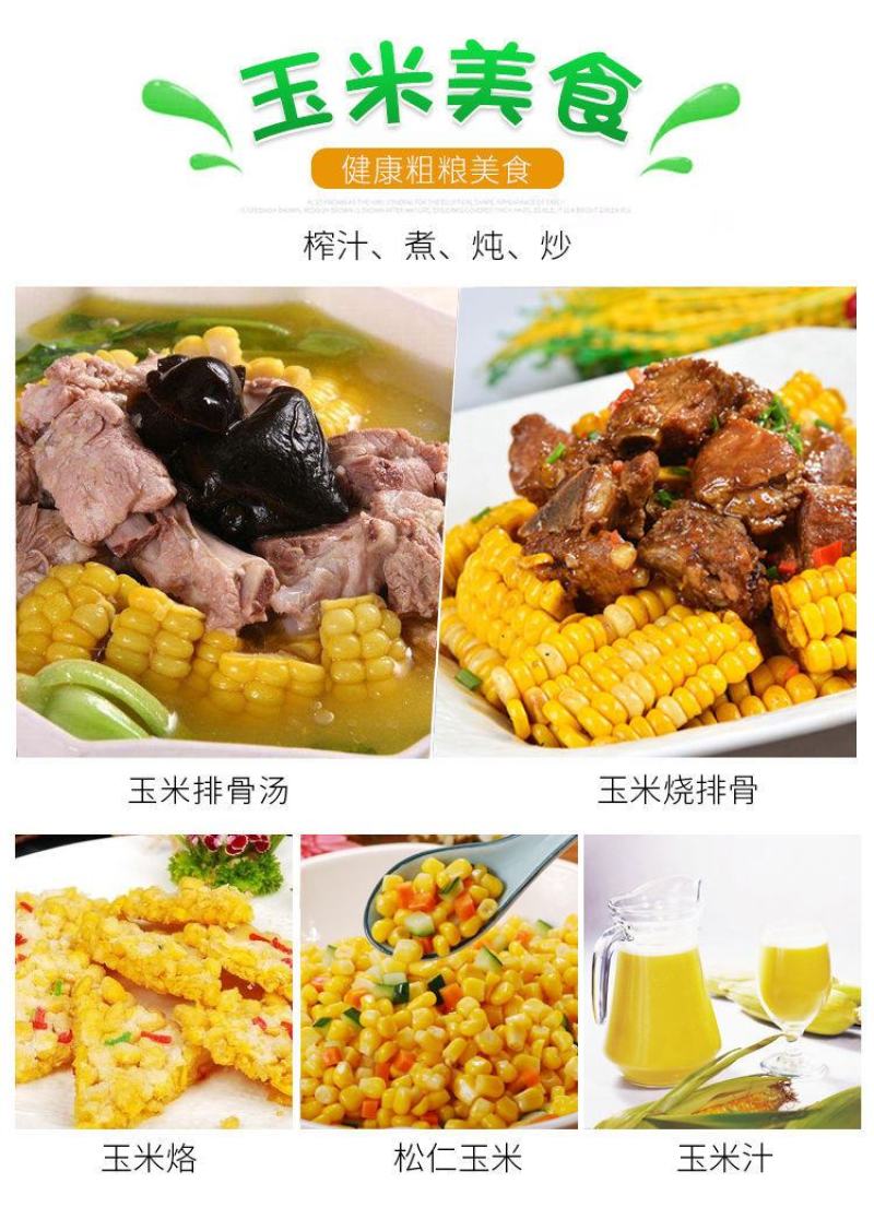 广东现摘新鲜黄玉米3丿6丿10斤(400一600e丿包邮