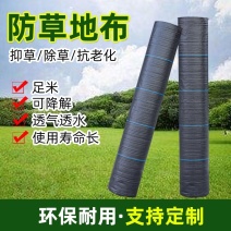 除草布防草布花卉盆栽绿化树苗药材茶园果园大棚用