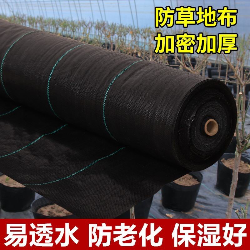 防草布包邮抗老化园艺地布抑草果园防草布黑色除草垫厂家直销