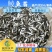 【2023新苗】土鲮鱼苗麦鲮鱼苗鲮鱼水花饲料鱼