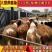 西门塔尔牛犊包成活西门塔尔母牛犊西门塔尔肉牛犊
