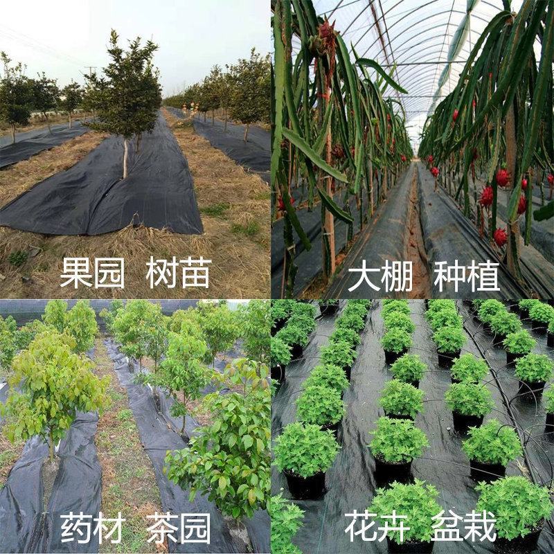 除草布果园茶园大棚药材等防草布用可视频看货选货