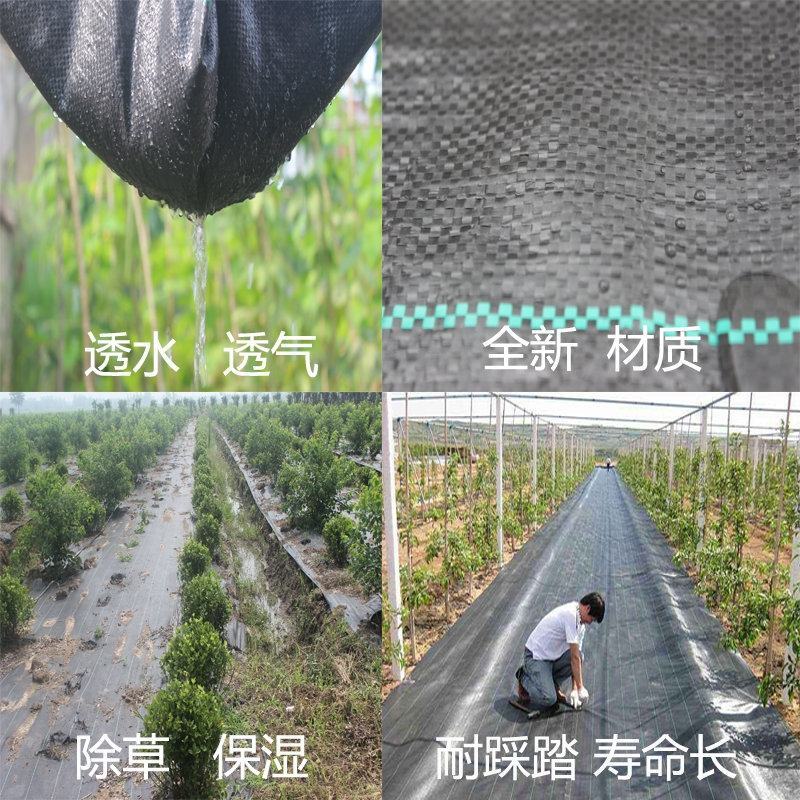除草布果园茶园大棚药材等防草布用可视频看货选货
