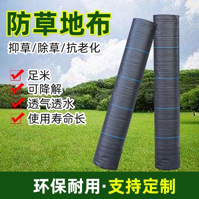 除草布果园茶园大棚药材等防草布用可视频看货选货