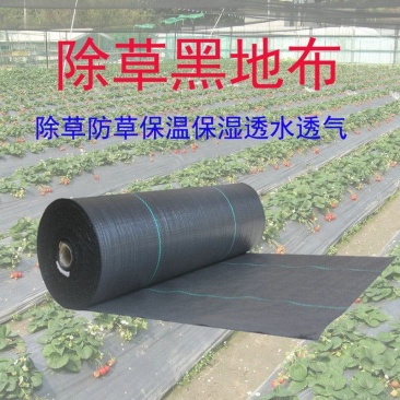 防草布除草布果园药材茶园花卉大棚等防草用地布