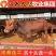 【热销】黄牛免费送货货到付款千元补贴秒到账包技术