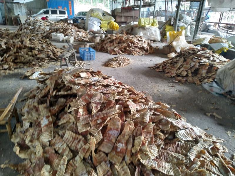 厂家加工，纯烤无硫笋干，适合泡水发，与厂家包装。