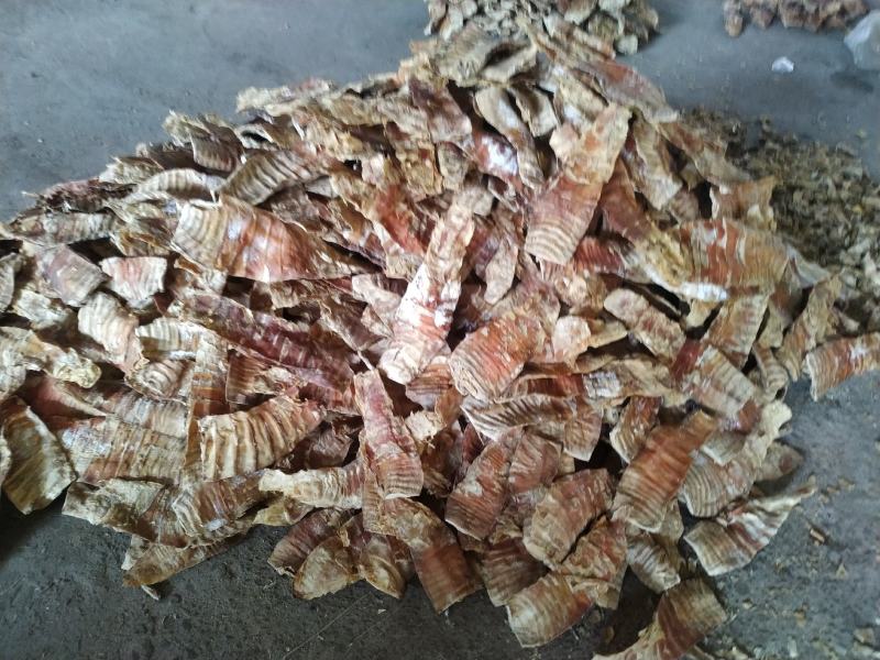 厂家加工，纯烤无硫笋干，适合泡水发，与厂家包装。