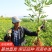 无花果树苗南北方庭院种植盆栽地栽当年结果特大矮化波姬红果