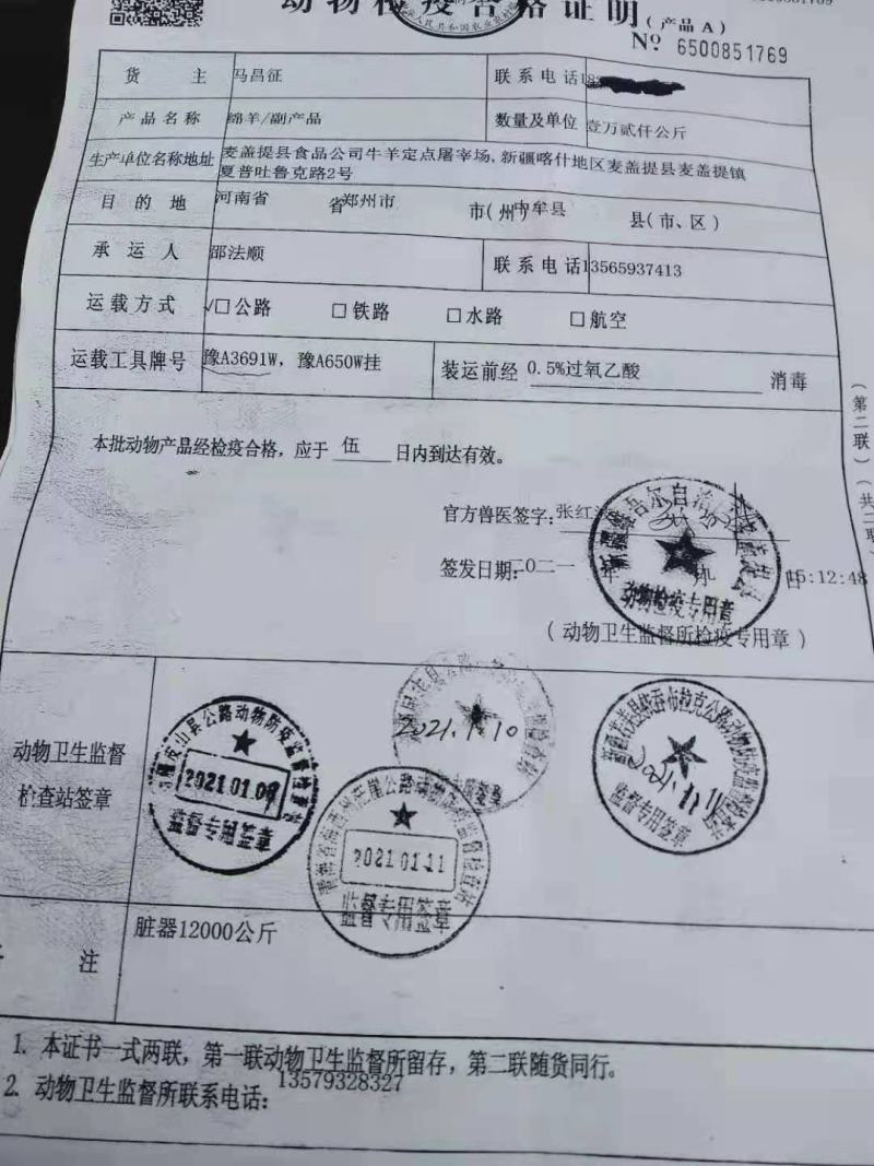 国产鲜冻纯干羊宝，羊外腰，羊蛋，30斤一件，各种型号都有
