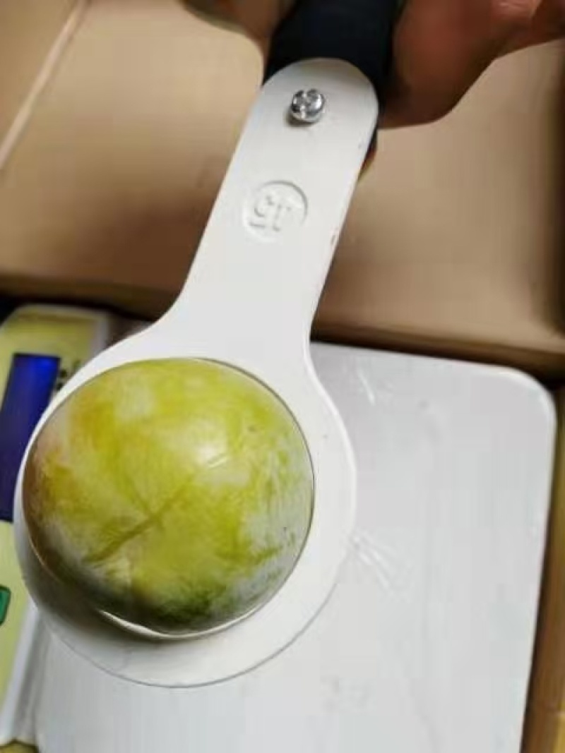 蜂糖李子欢迎各大团队前来产地采购！产地一手货源