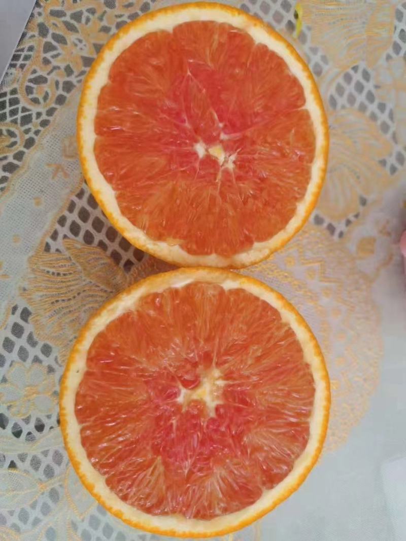 卡拉红肉脐橙树苗果清甜纯甜无酸味，苗木粗壮南北方可种植
