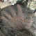 抗老化平针遮阳网黑色防晒网大棚家用农用遮阳网防尘网平针环