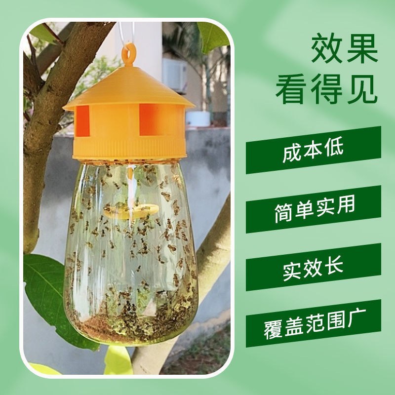 （包邮〉新升级四孔果蝇诱捕器果园菜地抓瓜果实蝇针蜂引诱剂