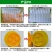（包邮〉新升级四孔果蝇诱捕器果园菜地抓瓜果实蝇针蜂引诱剂