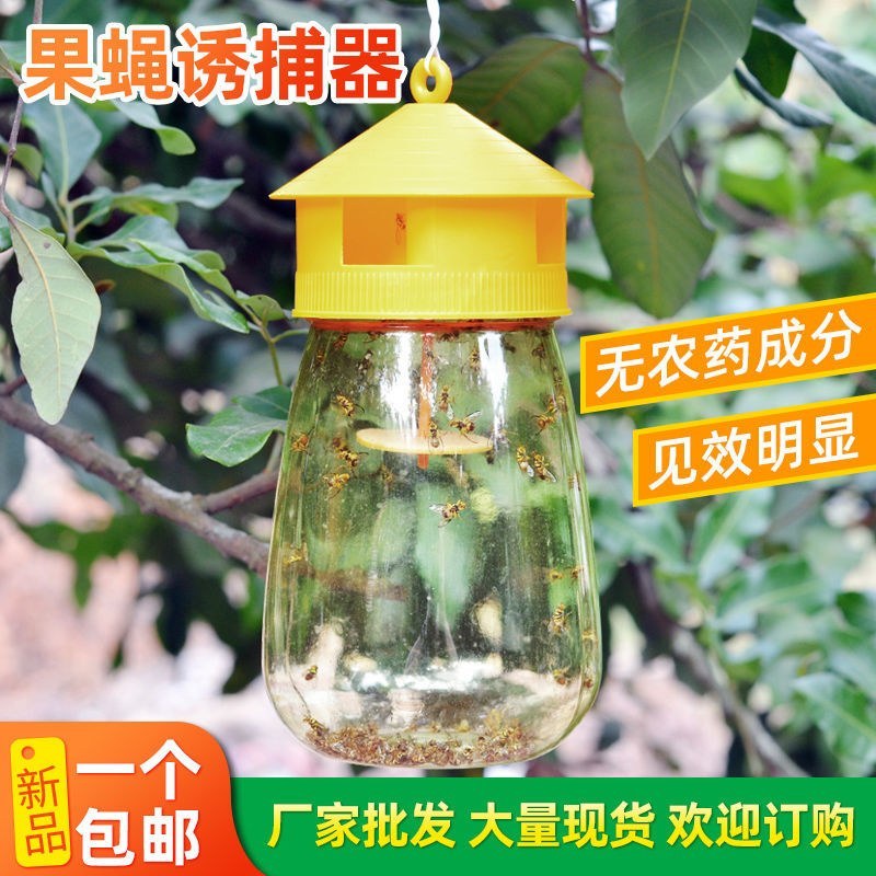 （包邮〉新升级四孔果蝇诱捕器果园菜地抓瓜果实蝇针蜂引诱剂