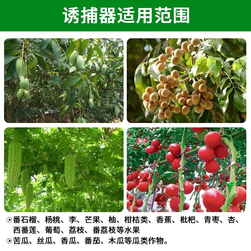（包邮〉新升级四孔果蝇诱捕器果园菜地抓瓜果实蝇针蜂引诱剂
