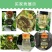 （包邮〉新升级四孔果蝇诱捕器果园菜地抓瓜果实蝇针蜂引诱剂