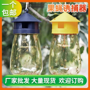 （包邮〉新升级四孔果蝇诱捕器果园菜地抓瓜果实蝇针蜂引诱剂