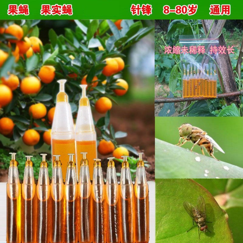（包邮〉新升级四孔果蝇诱捕器果园菜地抓瓜果实蝇针蜂引诱剂