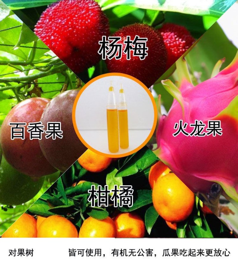 （包邮〉新升级四孔果蝇诱捕器果园菜地抓瓜果实蝇针蜂引诱剂