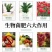 海藻生物菌肥、菌肥、生物有机肥、厂家直销
