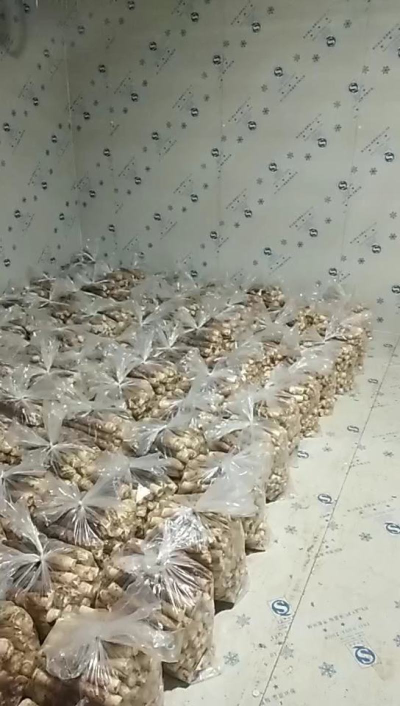 产地发货江西黄泥巴精品铺盖雷竹笋肉嫩香甜统货啦