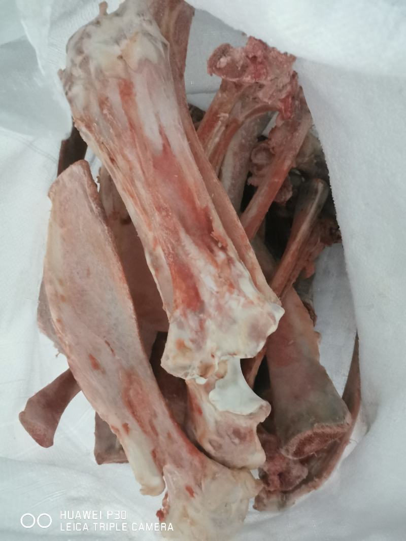 牛扁骨牛杂骨食品级，常年有货