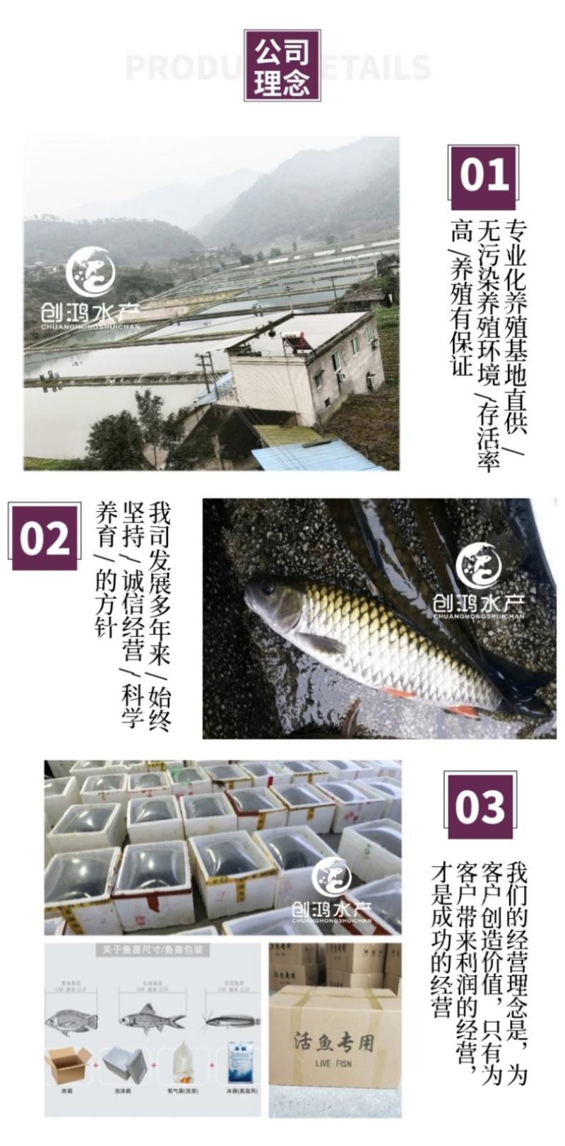 【2023新苗】青竹鲩鱼苗军鱼苗光倒刺鲃淡水养殖