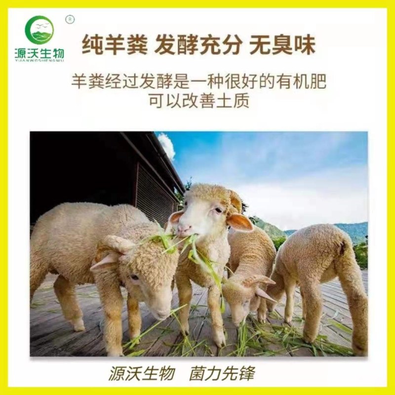 酵素生物羊粪发酵羊粪CCTV有机肥