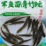 【2023新苗】青竹鲩鱼苗军鱼苗光倒刺鲃淡水养殖