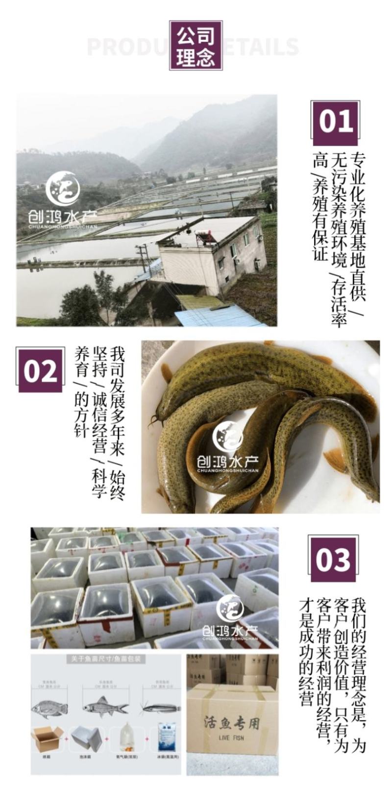 【2023新苗】台湾泥鳅苗泥鳅鱼苗养殖包销稻田养殖