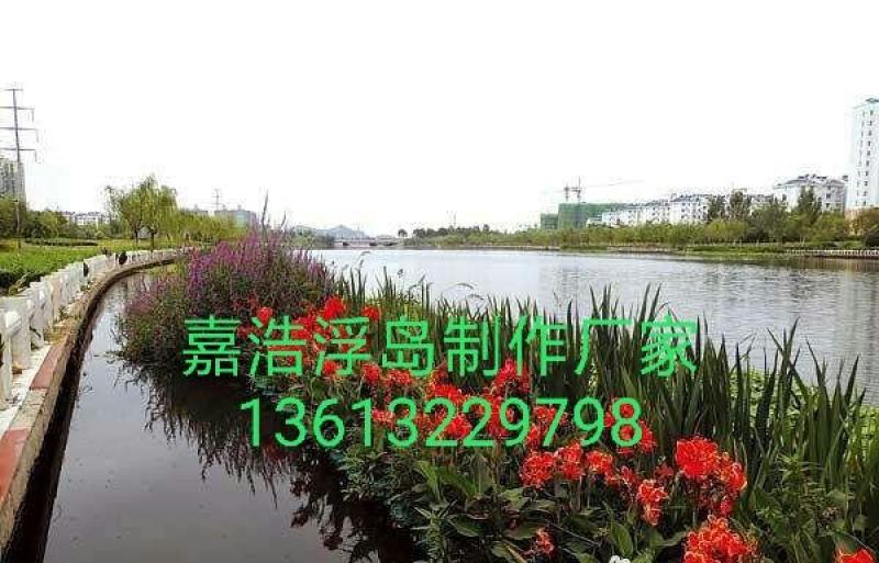 盆栽植物.荷花.睡莲.芦苇.黄菖蒲.粉黛乱子草等种植