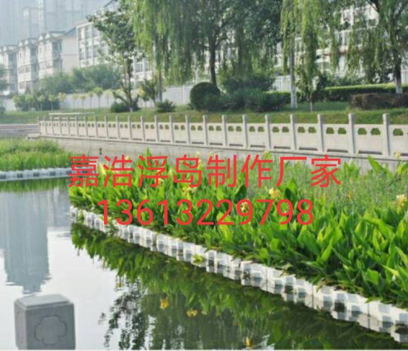 盆栽植物.荷花.睡莲.芦苇.黄菖蒲.粉黛乱子草等种植