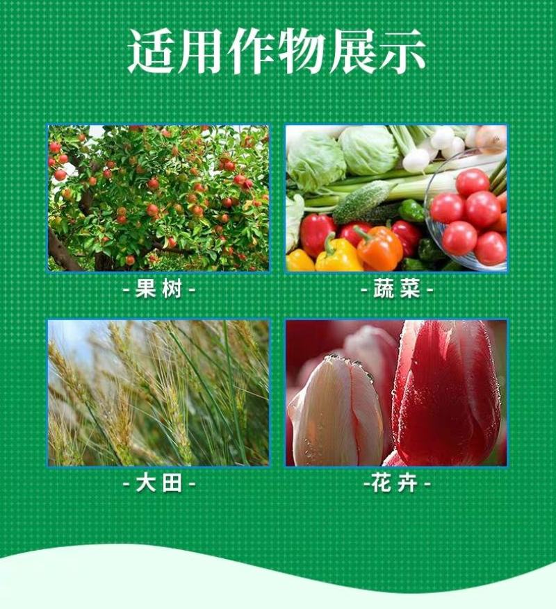 细必斯春雷溴菌腈细先打蔬菜果树瓜果细菌性炭疽病杀菌剂