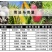 万福路唑醚戊唑醇荣邦果靓柑橘果树叶斑病桔艳通用杀菌剂