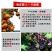 万福路唑醚戊唑醇荣邦果靓柑橘果树叶斑病桔艳通用杀菌剂