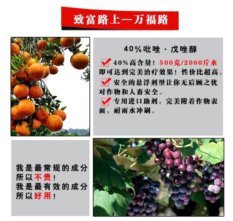 万福路唑醚戊唑醇荣邦果靓柑橘果树叶斑病桔艳通用杀菌剂