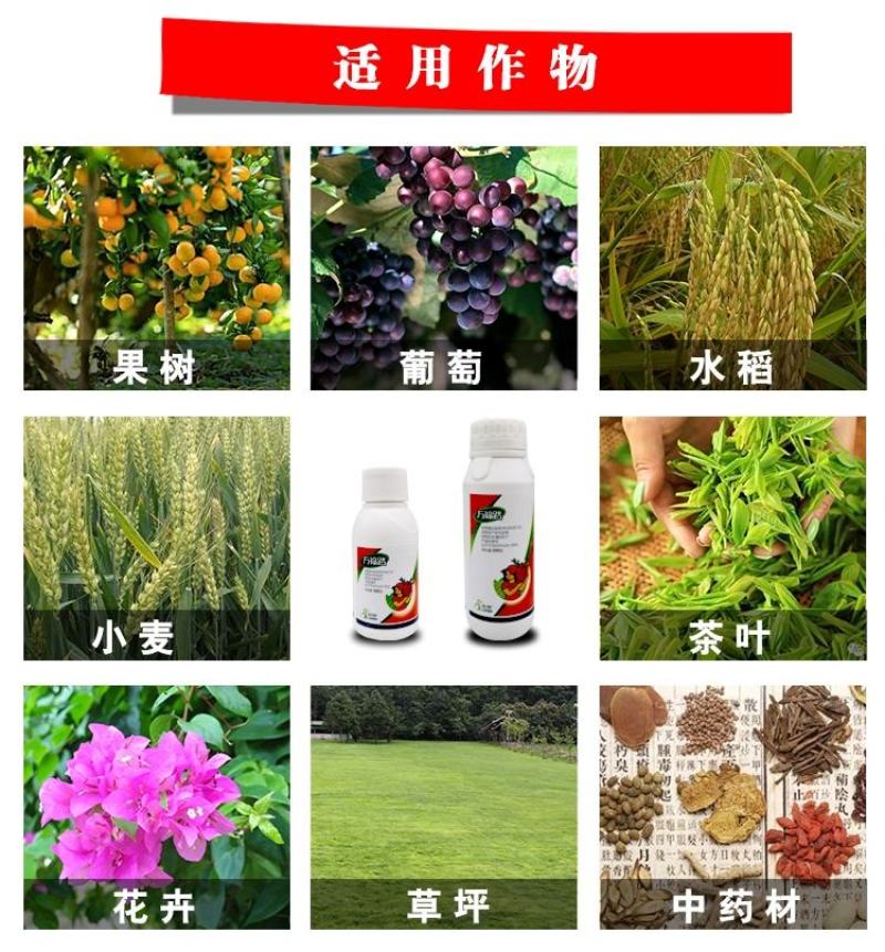 万福路唑醚戊唑醇荣邦果靓柑橘果树叶斑病桔艳通用杀菌剂