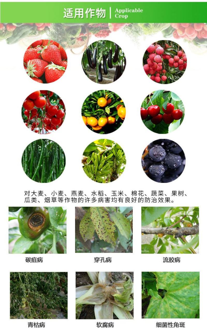 细必斯春雷溴菌腈细先打蔬菜果树瓜果细菌性炭疽病杀菌剂