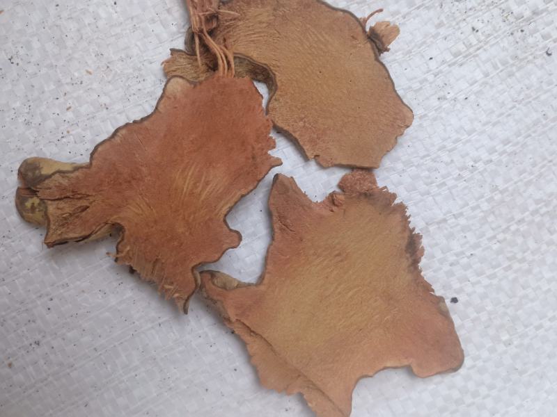 金刚藤，金刚刺，拔葜薄片质优价廉，现货供应中！